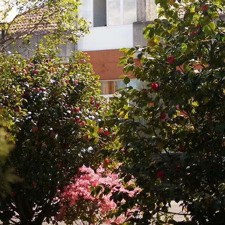Oviedo