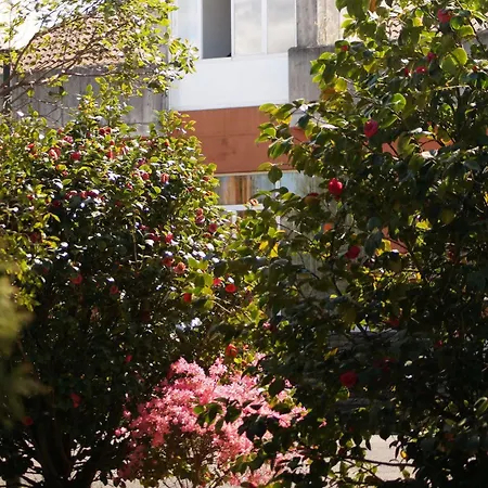 Hotel Oviedo Viella (Siero)