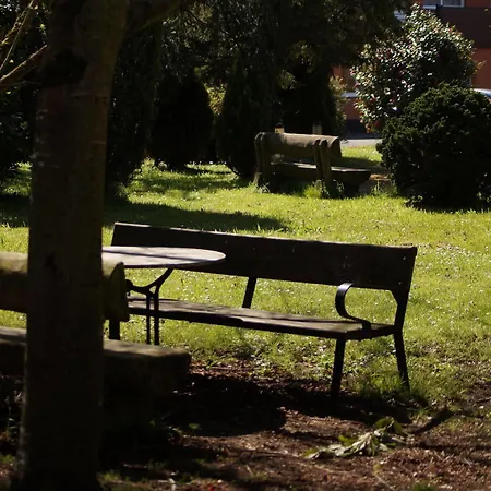 Oviedo Viella (Siero)